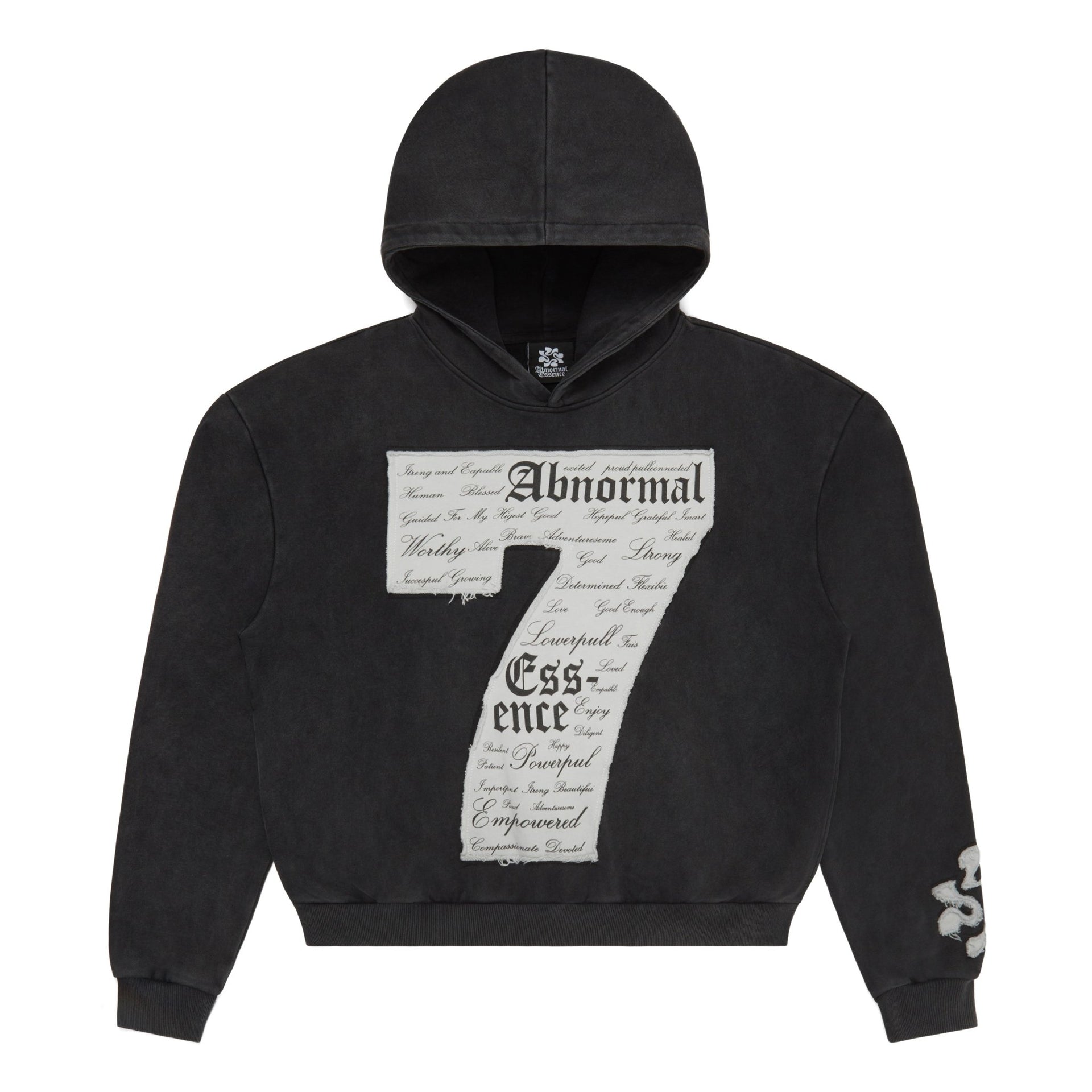 "Untamed Confidence" Hoodie (Vintage Black) - Abnormal Essence