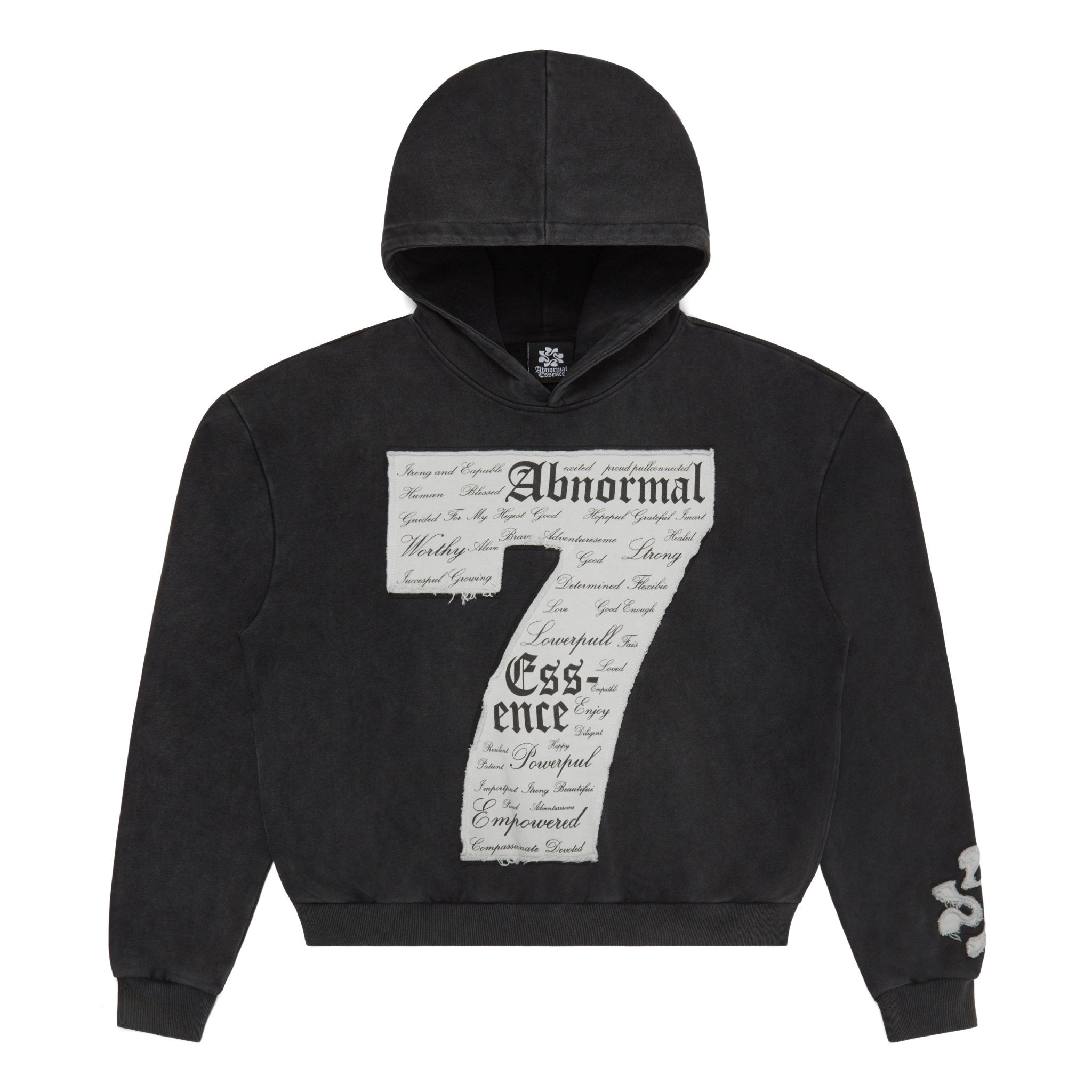 "Untamed Confidence" Hoodie (Vintage Black) - Abnormal Essence