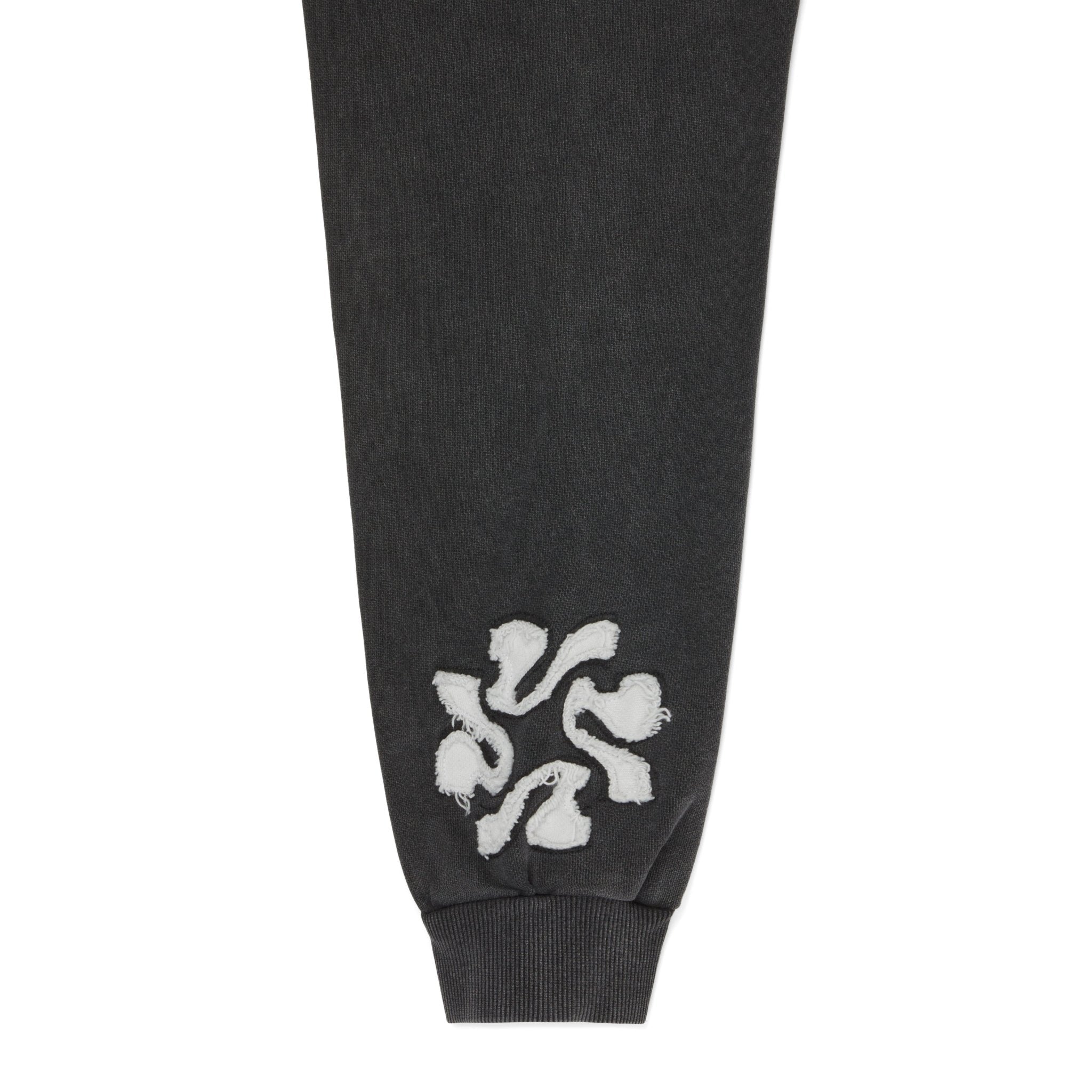 "Untamed Confidence" Hoodie (Vintage Black) - Abnormal Essence